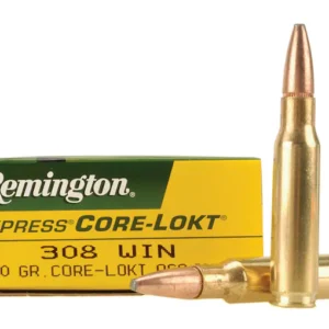 308 ammo picture